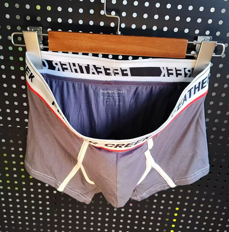 Large  Pouch men boxer super soft sexy underwear for men