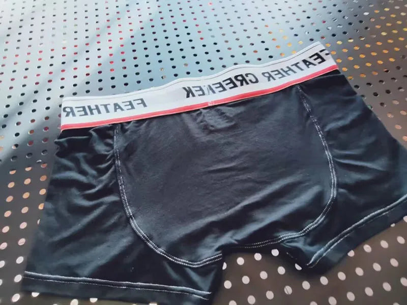 Large  Pouch men boxer super soft sexy underwear for men
