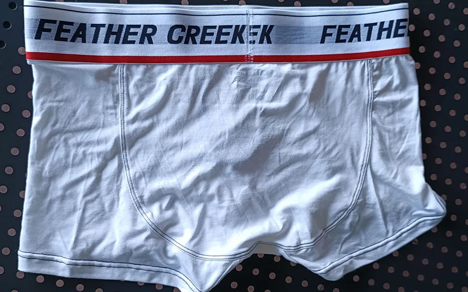 Large  Pouch men boxer super soft sexy underwear for men