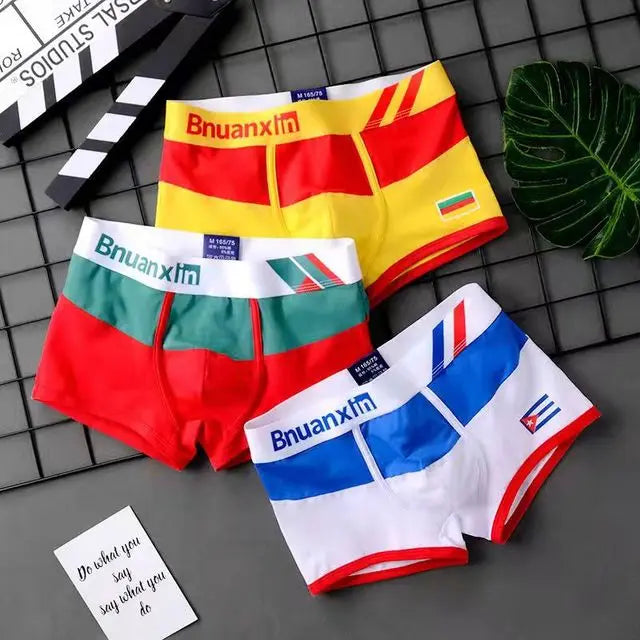 Breathable Cotton Men's Boxer Briefs Colors of national flag male boxer shorts mens underwear comfortable Boyshorts
