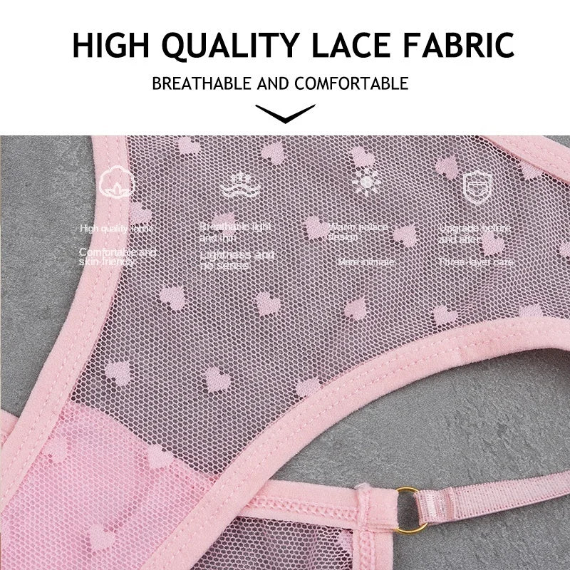 Women Bras Set Dot Push Up Bras Female Transparent Breathable Brazilian Panties Low Waist Bikini Ladies Soft Underwear Set