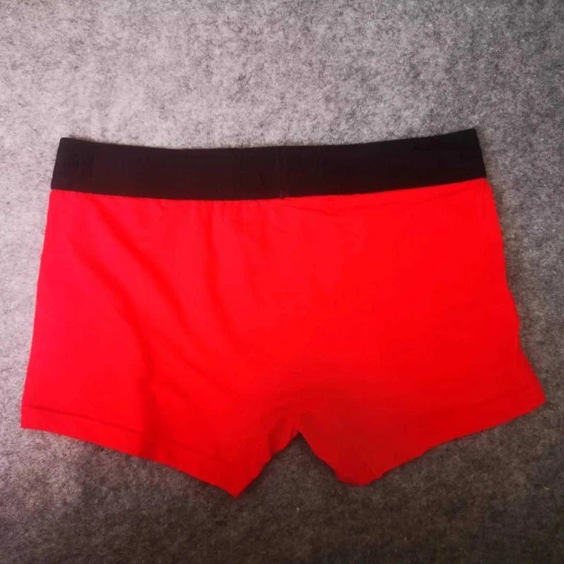 5-Piece Elastic Boxer Briefs Set